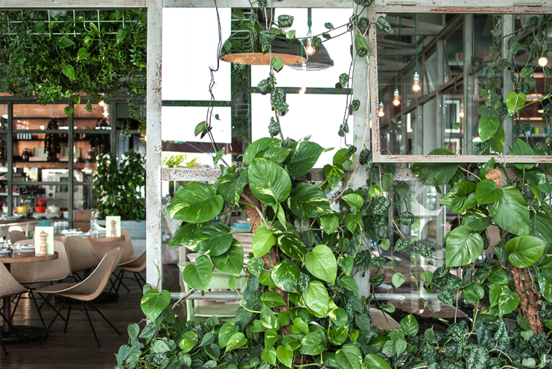 9.neverleavetheclouds.25h.neni.5