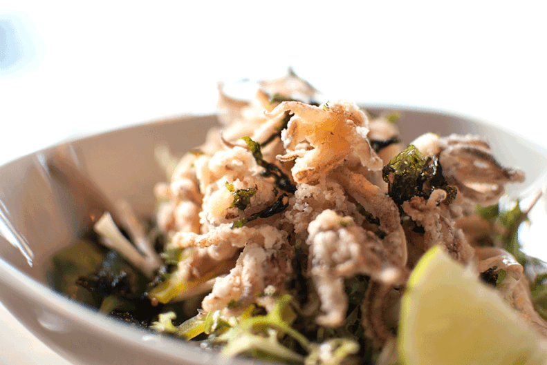 neverleavetheclouds.mymy.03