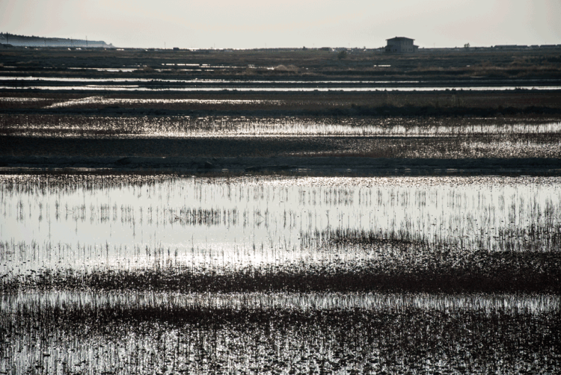 neverleavetheclouds.piran.20