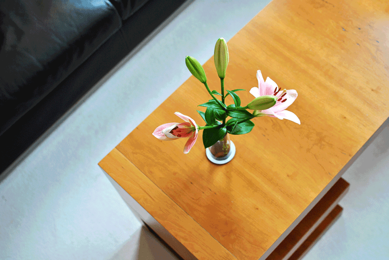 neverleavetheclouds.sofitel.10