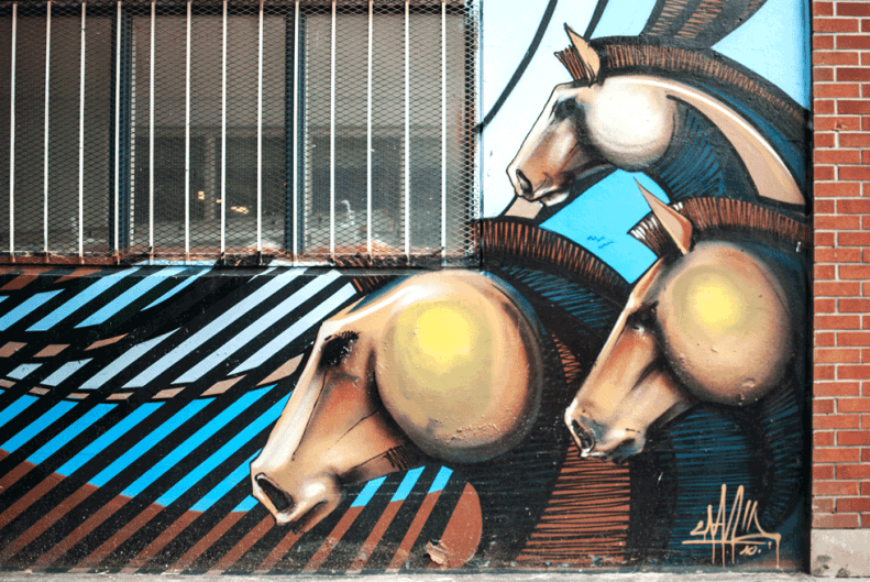 toronto.streetart.neverleavetheclouds.2015.20