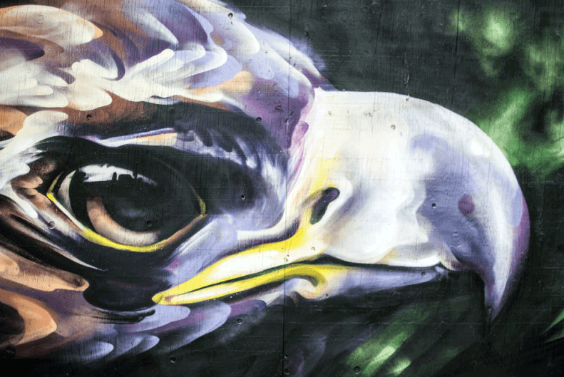 toronto.streetart.neverleavetheclouds.2015.27