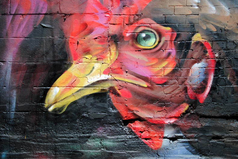 toronto.streetart.neverleavetheclouds.2015.31