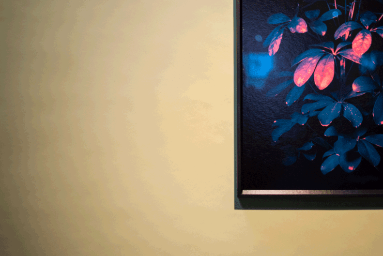 neverleavetheclouds.ddw.2015.14