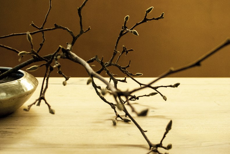 neverleavetheclouds_nala_08