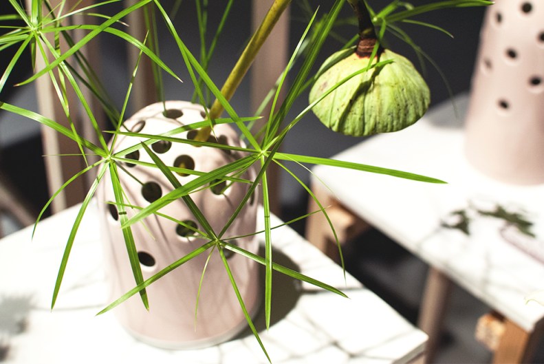 161028_neverleavetheclouds_ddw16__09