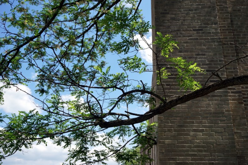 161102_nltc_illinois_rockford_armory_09