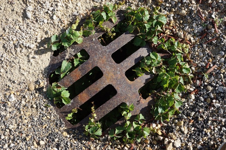 161103_nltc_illinois_rockford_atwood_03