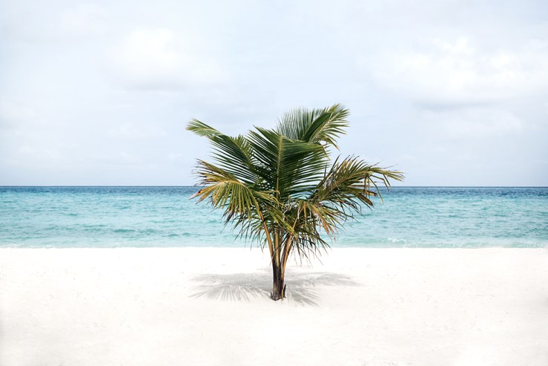 neverleavetheclouds_161211_clubmed_kani_05