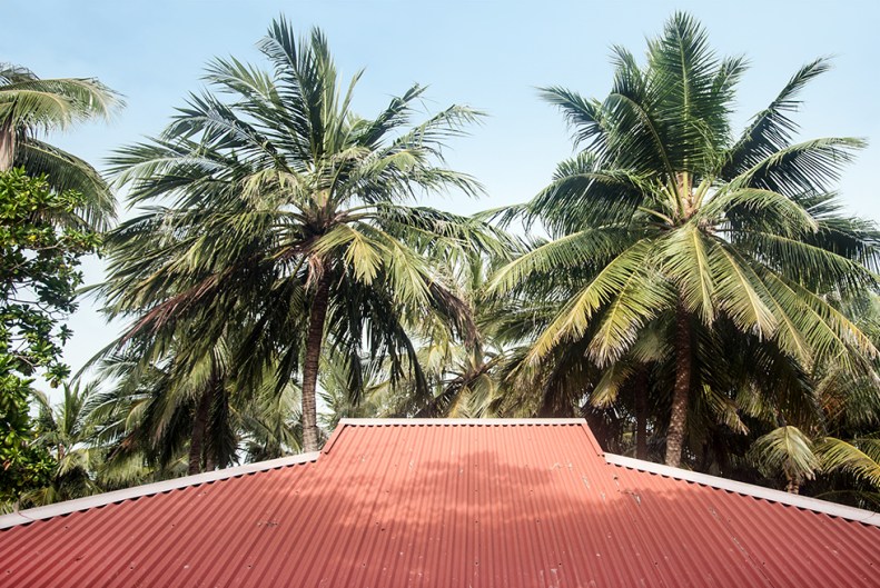 neverleavetheclouds_161211_clubmed_kani_12