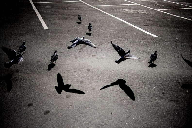 florian_geiss_gimme_shelter_neverleavetheclouds_2017_18